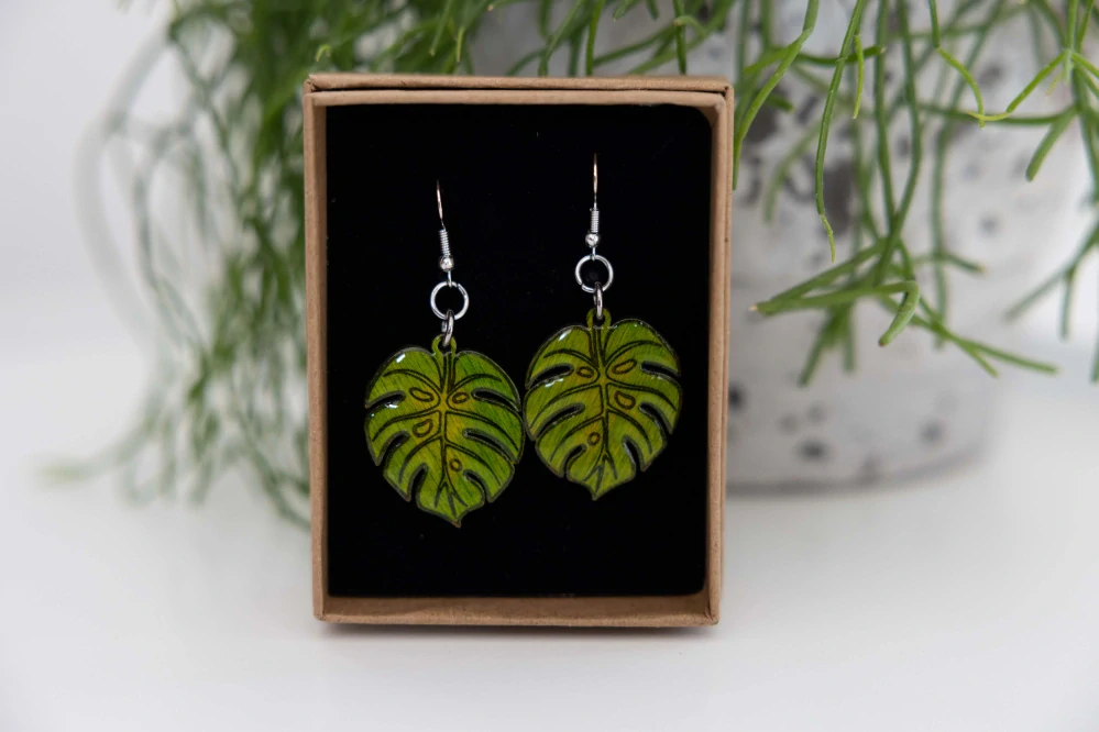 Monstera